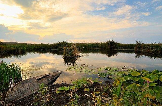 Zece lucruri INEDITE care te vor face sa iubesti Delta Dunarii