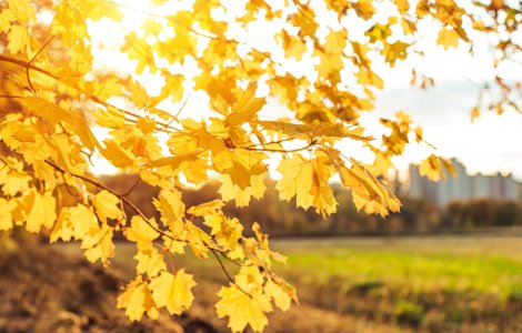 Prognoza meteo pentru septembrie. Cum va fi vremea în următoarele 4 săptămâni