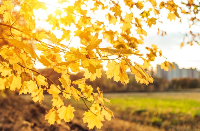 Prognoza meteo pentru luna septembrie. Cum va fi vremea &icirc;n următoarele 4 săptăm&acirc;ni