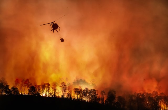 Portugalia a declarat stare de alertă din cauza incendiilor de vegetație provocate de temperaturile extreme