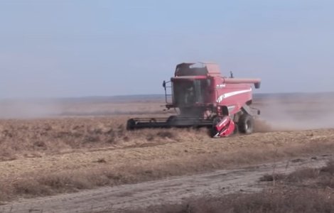 INS anunță o creștere a exporturilor de cereale din România: 2 miliarde de euro în primele 5 luni din 2022