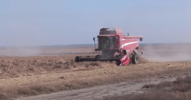 INS anunță o creștere a exporturilor de cereale din România: 2 miliarde de euro în primele 5 luni din 2022