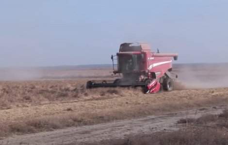 INS anunță o creștere a exporturilor de cereale din România: 2 miliarde de euro în primele 5 luni din 2022