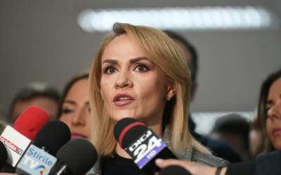 Gabriela Firea: ”Standardele...