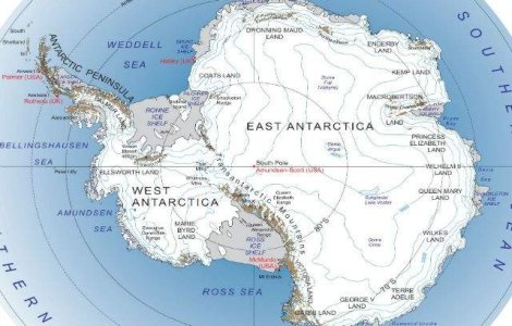 Nevertebrate care pot sa supravietuiasca in spatiu, descoperite in Antarctica
