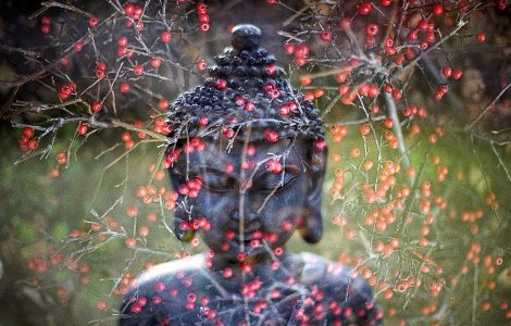 7 mantre puternice pentru fiecare zi a săptămânii 19 august - 4 septembrie