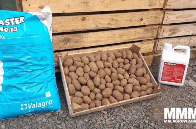 Fermierii implicați &icirc;ntr-o luptă uriașă cu seceta &ndash; mulți investesc &icirc;n biostimulatori pentru a reduce pagubele