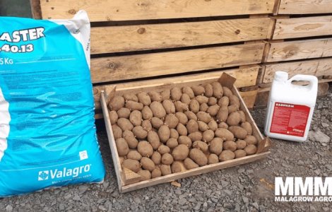 Fermierii implicați într-o luptă uriașă cu seceta – mulți investesc în biostimulatori pentru a reduce pagubele