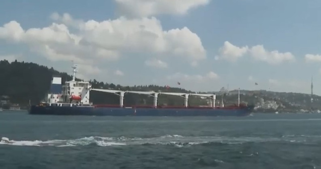 O navă cu grâu ucrainean destinat Etiopiei a ajuns în Djibouti