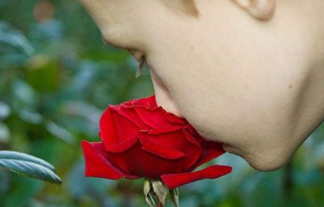  Top  Top 10 lucruri pe care nu le stiai despre miros