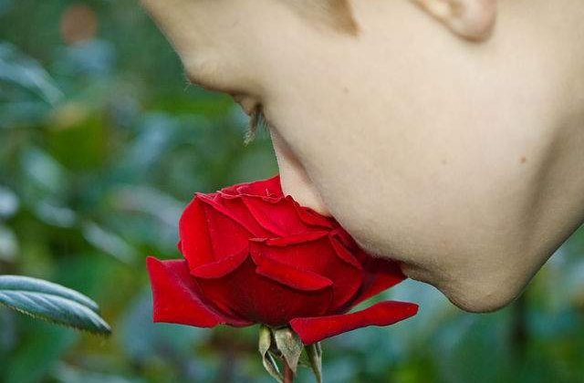 Top 10 lucruri pe care nu le stiai despre miros