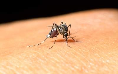 Două persoane infectate cu...