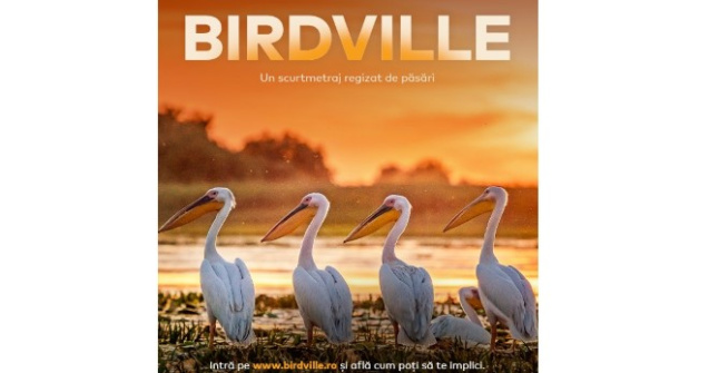 Un scurtmetraj regizat de pasari invita oamenii sa se implice in eforturile de conservare a biodiversitatii Deltei Dunarii