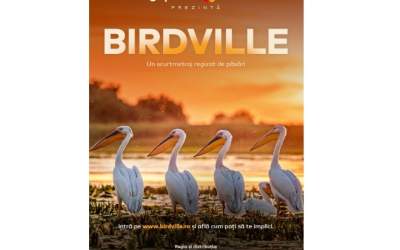 Un scurtmetraj regizat de...