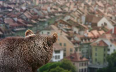 Românii care se luptă cu...