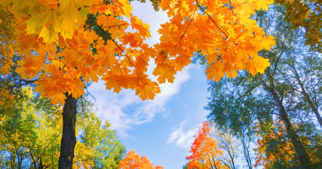 Prognoza meteo ANM pentru miercuri, 7 septembrie. Vremea se va încălzi