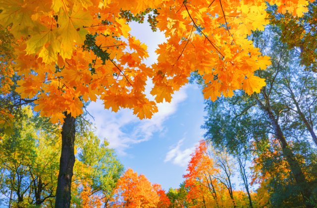 Prognoza meteo ANM pentru miercuri, 7 septembrie. Vremea se va &icirc;ncălzi