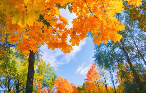 Prognoza meteo ANM pentru miercuri, 7 septembrie. Vremea se va încălzi