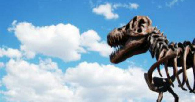 SUA retrocedeaza Mongoliei schelete si fosile de dinozauri furate