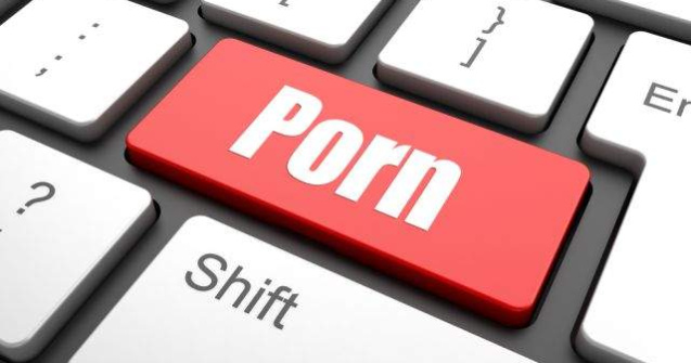 Studiu: Filmele porno si drogurile activeaza aceleasi zone din creier