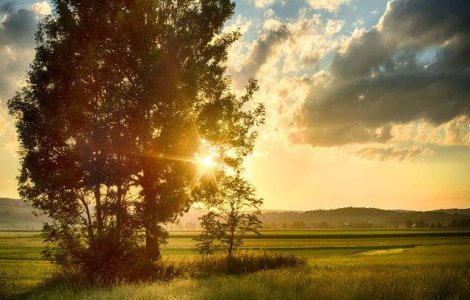  Top  Prognoza meteo: Cum va fi vremea in urmatoarele doua saptamani