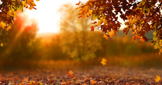 Prognoza meteo ANM pentru vineri, 9 septembrie. Temperaturile cresc
