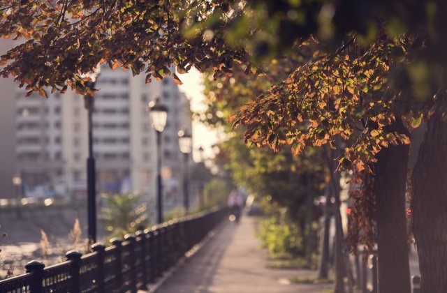 Prognoza meteo - 12 septembrie 2022. Vremea se răcește treptat