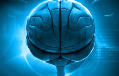  Top  TOP 10 lucruri fascinante pe care nu le stiai despre propriul tau creier