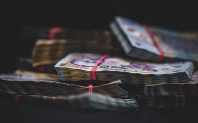 Recenzorii nu şi-au primit...