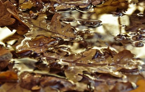 Prognoza meteo ANM pentru weekendul 17 - 18 septembrie. Vremea începe să se schimbe