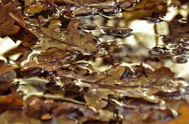 Prognoza meteo ANM pentru weekendul 17 - 18 septembrie. Vremea &icirc;ncepe să se schimbe