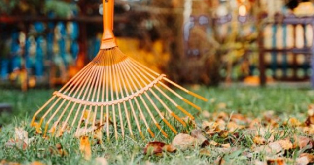 Cum pregătești gradina pentru iarna - sfaturi și recomandări