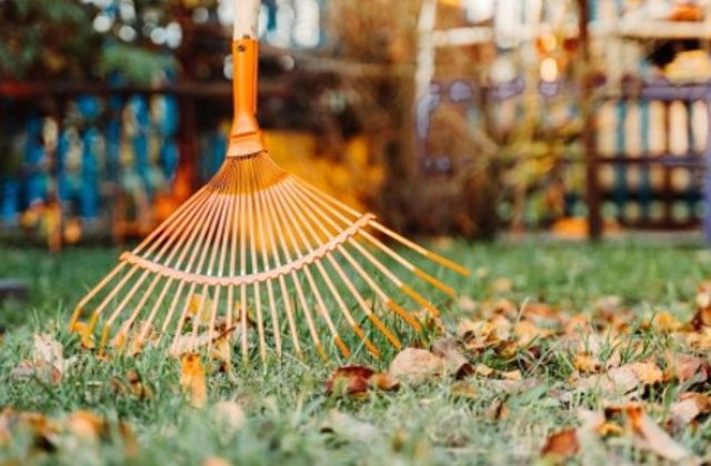 Cum pregătești gradina pentru iarna - sfaturi și recomandări