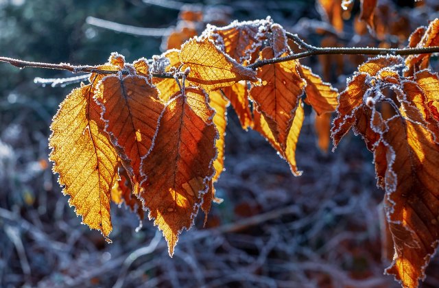 Prognoza meteo ANM pentru marți, 20 septembrie. Vremea va fi rece