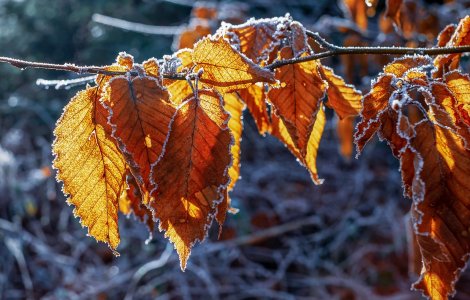 Prognoza meteo ANM pentru marți, 20 septembrie. Vremea va fi rece