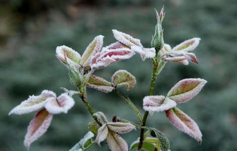 Prognoza meteo ANM pentru miercuri, 21 septembrie. Vremea va fi deosebit de rece în unele regiuni
