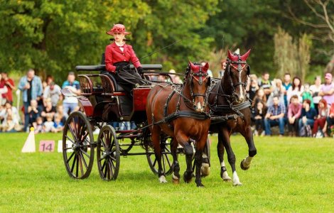 20 de lucruri despre echitație și călăreți