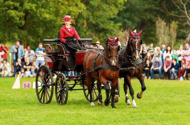 20 de lucruri despre echitație și călăreți