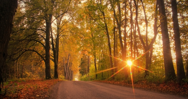 Echinocţiul de toamnă 2022. Tradiții și obiceiuri pentru această zi