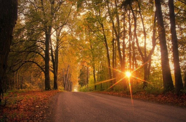 Echinocţiul de toamnă 2022. Tradiții și obiceiuri pentru această zi