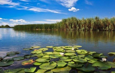 The New York Times, reportaj spectaculos despre Delta Dunarii