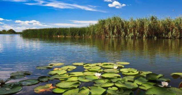 The New York Times, reportaj spectaculos despre Delta Dunarii