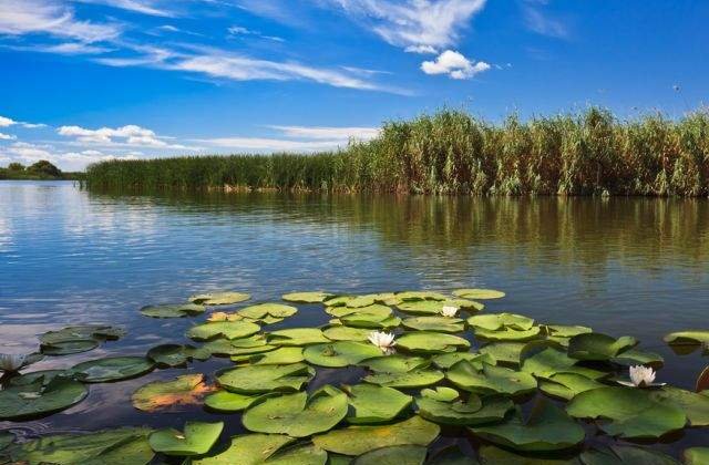 The New York Times, reportaj spectaculos despre Delta Dunarii