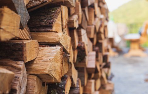 Prețul lemnelor pentru foc ar putea fi plafonat