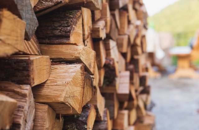 Prețul lemnelor pentru foc ar putea fi plafonat
