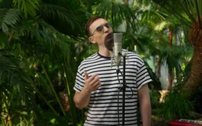 Ce meserii a avut Denis...