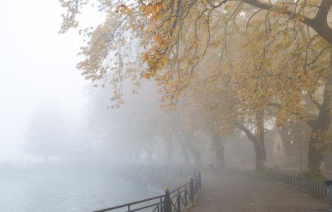 Prognoza meteo - 26 septembrie 2022. Temperaturi calde și ploi abundente