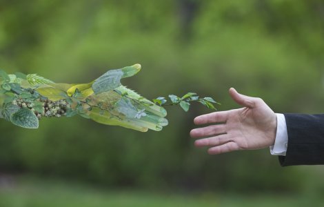 Ce înseamnă sustenabilitate? Cum poți fi sustenabil astăzi?