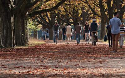 Prognoza meteo ANM pentru...