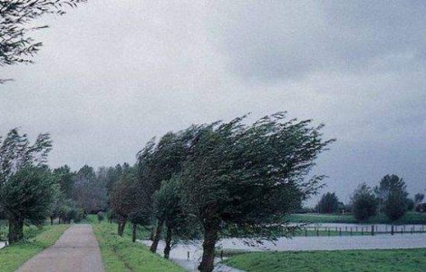 Vantul care a doborat mii de copaci in Suceava a durat 8 minute